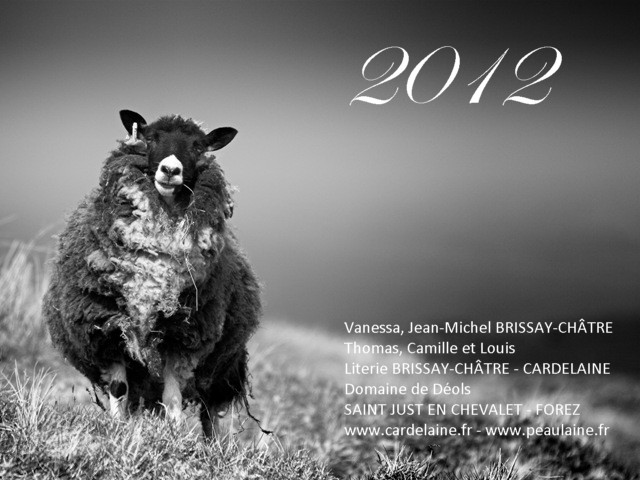 voeux-2012-cardelaine