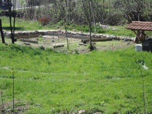 création jardin " des plantes aromatiques"