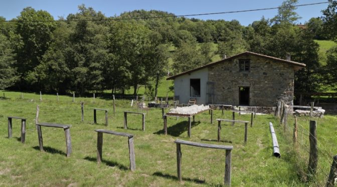 L’équipe Cardelaine