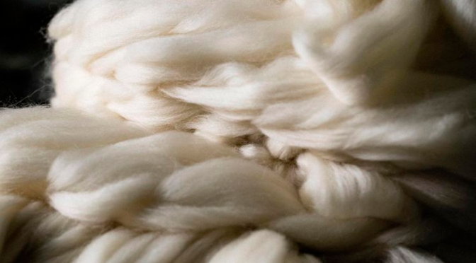 Série : les atouts de la laine 1